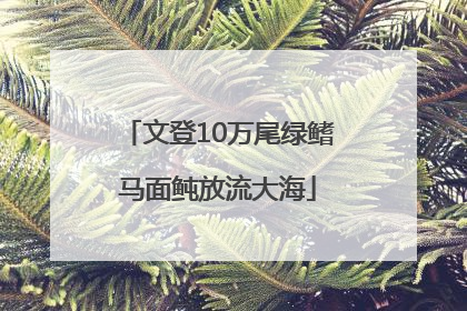 文登10万尾绿鳍马面鲀放流大海