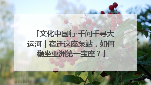 文化中国行·千问千寻大运河｜宿迁这座泵站，如何稳坐亚洲第一宝座？