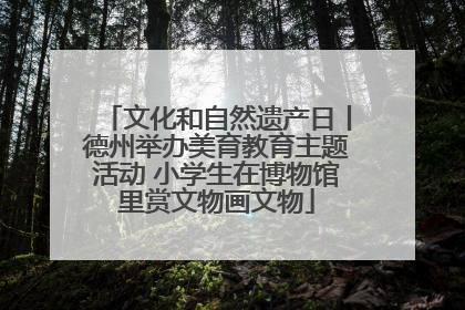 文化和自然遗产日丨德州举办美育教育主题活动 小学生在博物馆里赏文物画文物