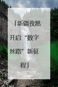 新疆孜然开启“数字丝路”新征程