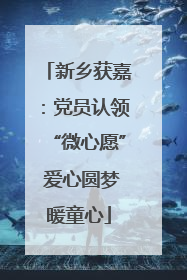 新乡获嘉：党员认领“微心愿” 爱心圆梦暖童心
