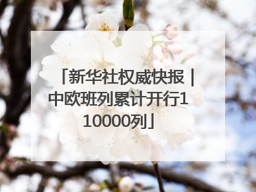 新华社权威快报｜中欧班列累计开行110000列