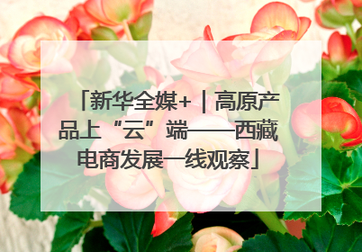 新华全媒+｜高原产品上“云”端——西藏电商发展一线观察