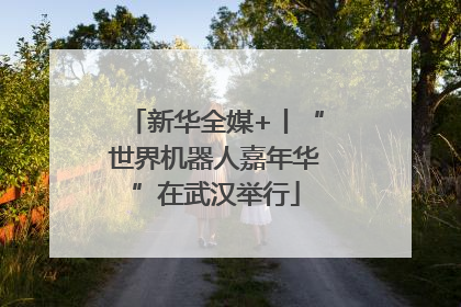 新华全媒+丨“世界机器人嘉年华”在武汉举行