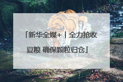 新华全媒+丨全力抢收夏粮 确保颗粒归仓