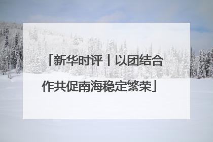 新华时评丨以团结合作共促南海稳定繁荣