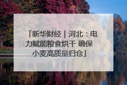 新华财经｜河北：电力赋能粮食烘干 确保小麦高质量归仓