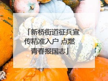 新桥街道征兵宣传精准入户 点燃青春报国志