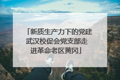 新质生产力下的党建 武汉校促会党支部走进革命老区黄冈