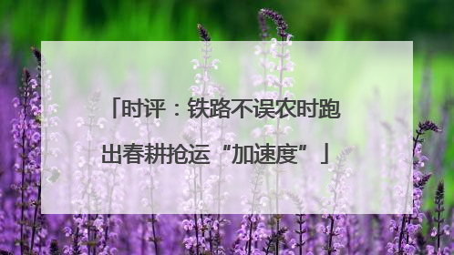 时评：铁路不误农时跑出春耕抢运“加速度”