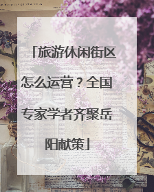 旅游休闲街区怎么运营？全国专家学者齐聚岳阳献策