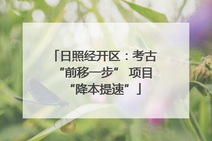 日照经开区：考古“前移一步” 项目“降本提速”