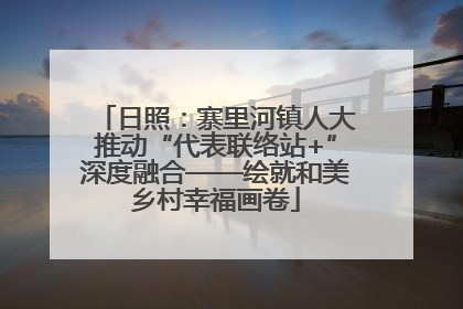 日照:寨里河镇人大推动“代表联络站+”深度融合——绘就和美乡村幸福画卷