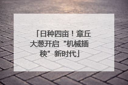 日种四亩！章丘大葱开启“机械插秧”新时代