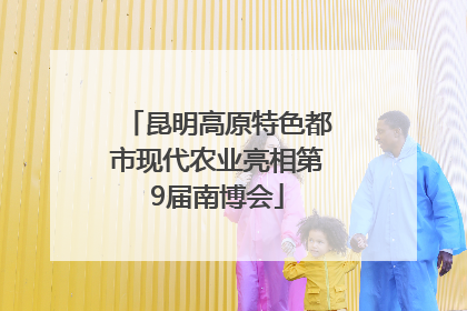 昆明高原特色都市现代农业亮相第9届南博会