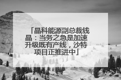 晶科能源副总裁钱晶：当务之急是加速升级既有产线，沙特项目正推进中
