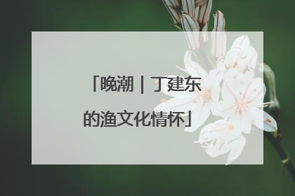 晚潮｜丁建东的渔文化情怀