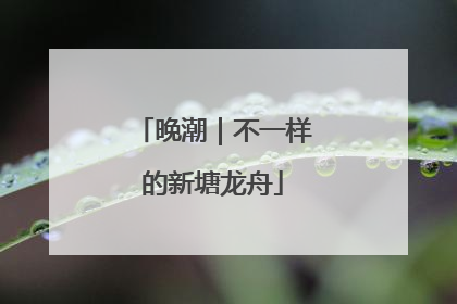 晚潮｜不一样的新塘龙舟