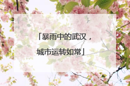 暴雨中的武汉，城市运转如常