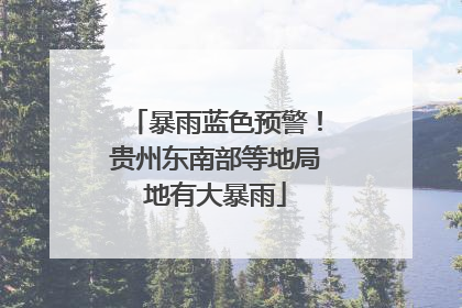 暴雨蓝色预警！贵州东南部等地局地有大暴雨