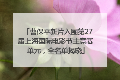 曹保平新片入围第27届上海国际电影节主竞赛单元，全名单揭晓