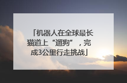 机器人在全球最长猫道上“遛狗”，完成3公里行走挑战