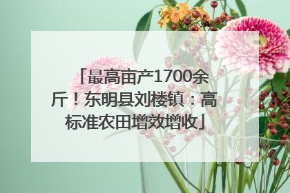 最高亩产1700余斤！东明县刘楼镇：高标准农田增效增收