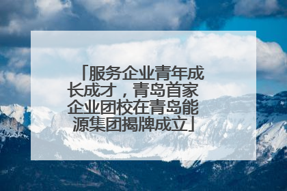 服务企业青年成长成才,青岛首家企业团校在青岛能源集团揭牌成立