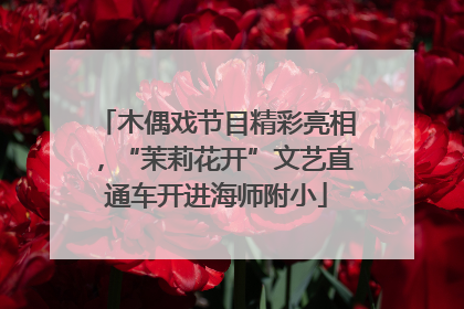 木偶戏节目精彩亮相，“茉莉花开”文艺直通车开进海师附小