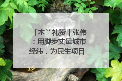 木兰礼赞｜张伟：用脚步丈量城市经纬，为民生项目按下“加速键”