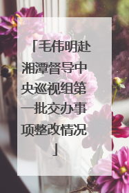 毛伟明赴湘潭督导中央巡视组第一批交办事项整改情况
