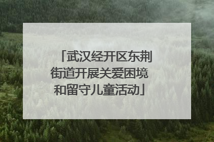 武汉经开区东荆街道开展关爱困境和留守儿童活动