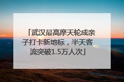 武汉最高摩天轮成亲子打卡新地标，半天客流突破1.5万人次
