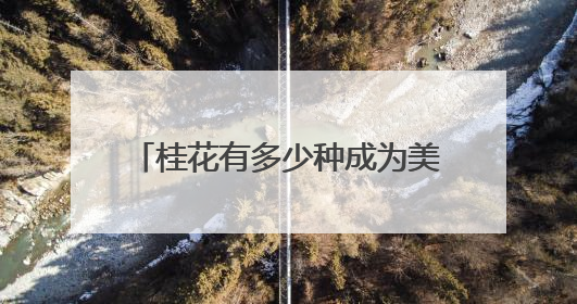 桂花有多少种成为美食的可能？你的水平可能不如小学生！