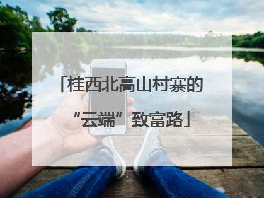 桂西北高山村寨的“云端”致富路