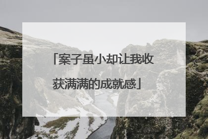 案子虽小却让我收获满满的成就感