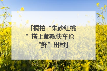 桐柏“朱砂红桃”搭上邮政快车抢“鲜”出村