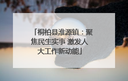 桐柏县淮源镇：聚焦民生实事 激发人大工作新动能