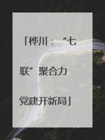 桦川：“七联”聚合力 党建开新局