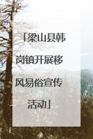 梁山县韩岗镇开展移风易俗宣传活动