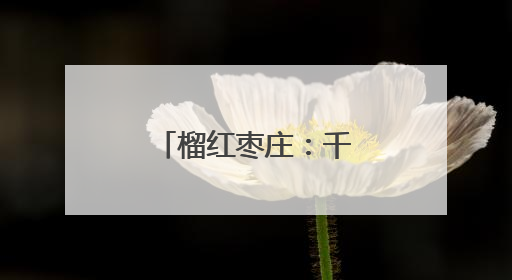 榴红枣庄：千年丝路的味觉传承与产业新生