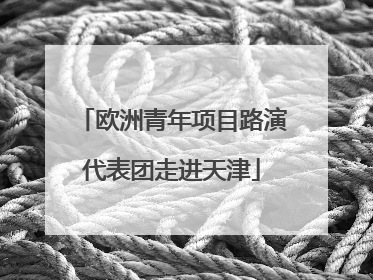 欧洲青年项目路演代表团走进天津