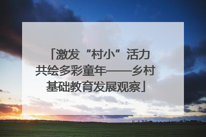 激发“村小”活力 共绘多彩童年——乡村基础教育发展观察