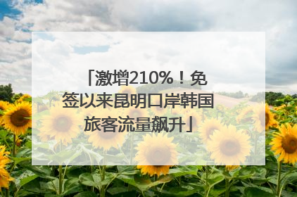 激增210%！免签以来昆明口岸韩国旅客流量飙升