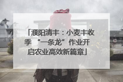 濮阳清丰：小麦丰收季 “一条龙”作业开启农业高效新篇章