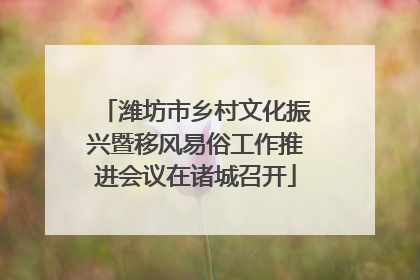 潍坊市乡村文化振兴暨移风易俗工作推进会议在诸城召开