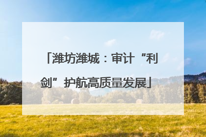 潍坊潍城：审计“利剑”护航高质量发展
