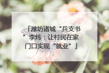 潍坊诸城“兵支书”李炜：让村民在家门口实现“就业”