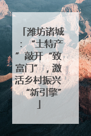 潍坊诸城：“土特产”敲开“致富门”，激活乡村振兴“新引擎”