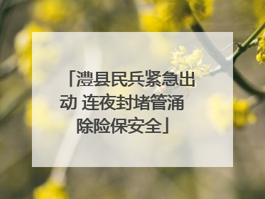 澧县民兵紧急出动 连夜封堵管涌除险保安全